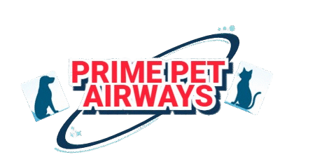 cropped-1-logo.png