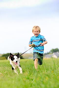 pet-relocation-is-our-passion